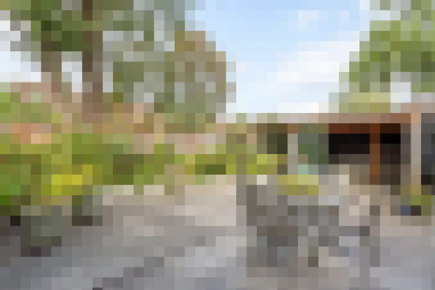Hoefblad 24 Oldenzaal thumbnail 19