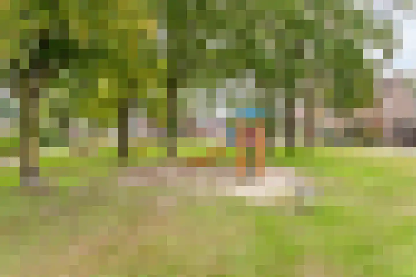 Hoefblad 24 Oldenzaal thumbnail 21