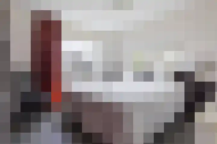 Hoefblad 27 Apeldoorn thumbnail 19