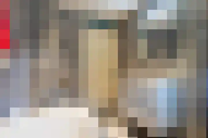 Hoefblad 27 Apeldoorn thumbnail 25