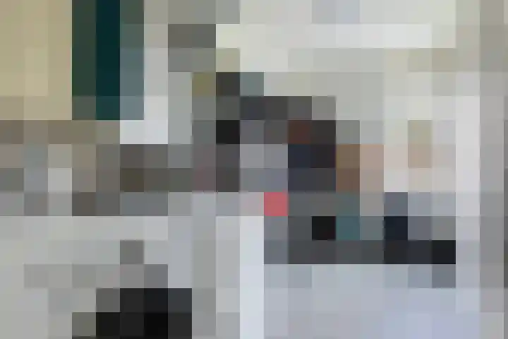 Hoefblad 27 Apeldoorn thumbnail 27