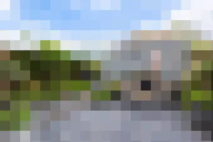 Hoefblad 27 Apeldoorn thumbnail 28