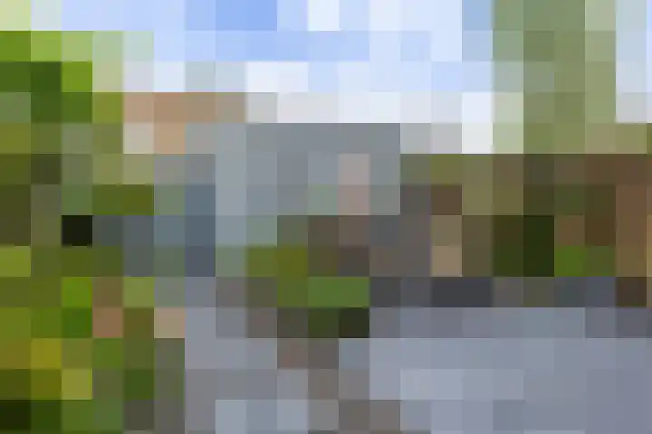 Hoefblad 27 Apeldoorn thumbnail 29