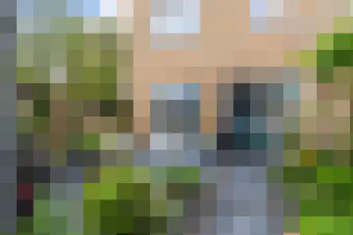 Hoefblad 27 Apeldoorn thumbnail 30