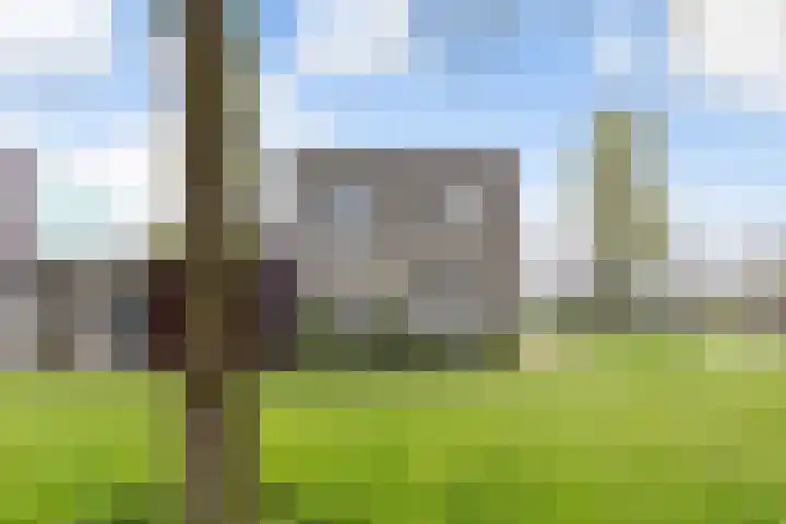 Hoefblad 27 Apeldoorn thumbnail 32