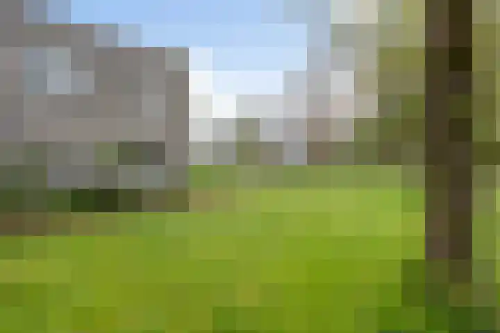 Hoefblad 27 Apeldoorn thumbnail 33