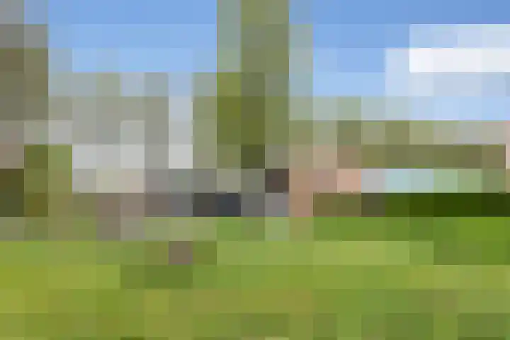 Hoefblad 27 Apeldoorn thumbnail 34