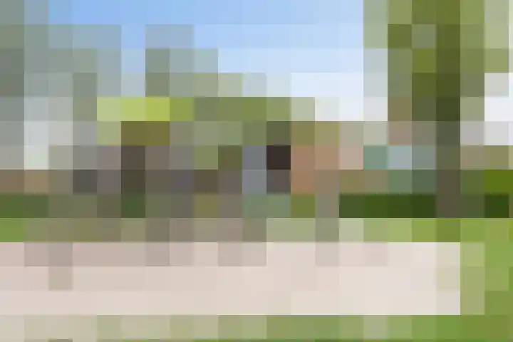 Hoefblad 27 Apeldoorn thumbnail 35