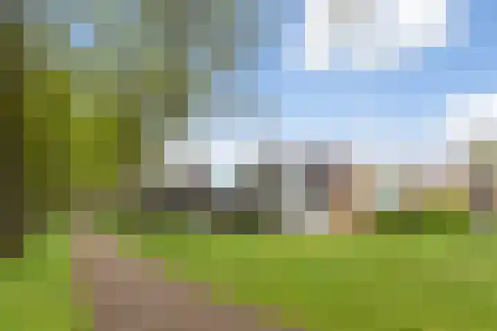 Hoefblad 27 Apeldoorn thumbnail 36