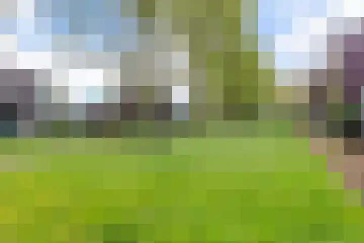 Hoefblad 27 Apeldoorn thumbnail 37