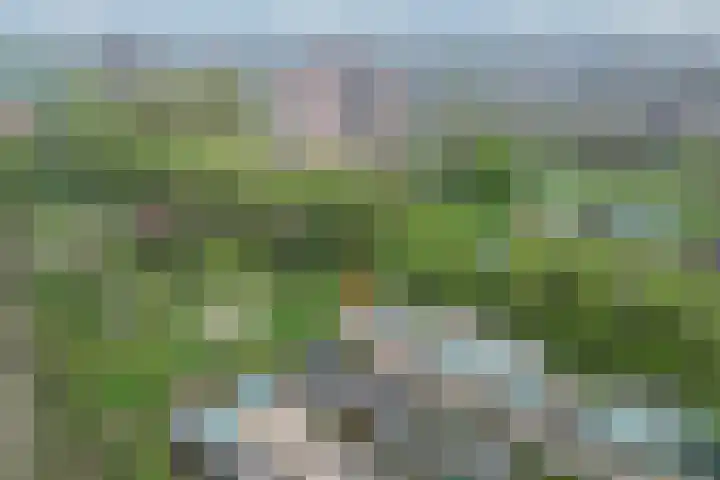 Hoefblad 27 Apeldoorn thumbnail 39