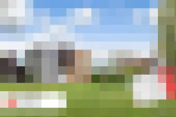 Hoefblad 27 Apeldoorn thumbnail 40