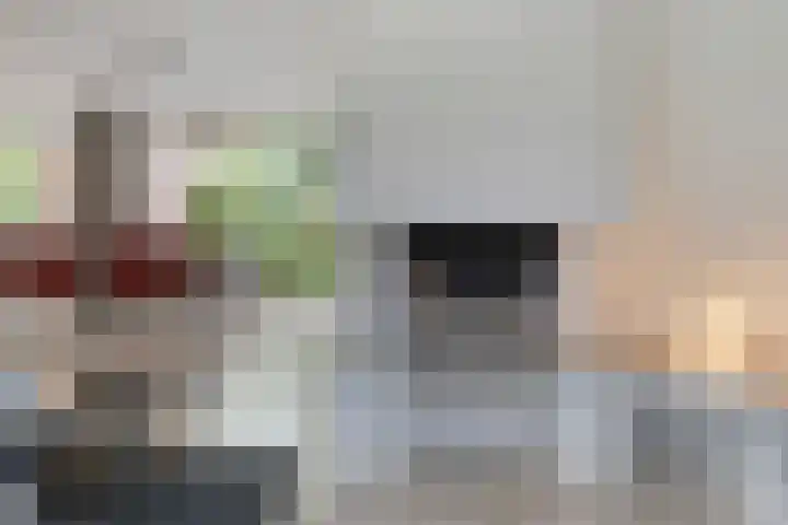 Hoefblad 28 Mierlo thumbnail 10