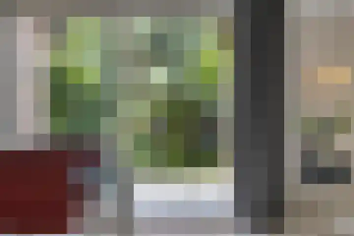 Hoefblad 28 Mierlo thumbnail 13