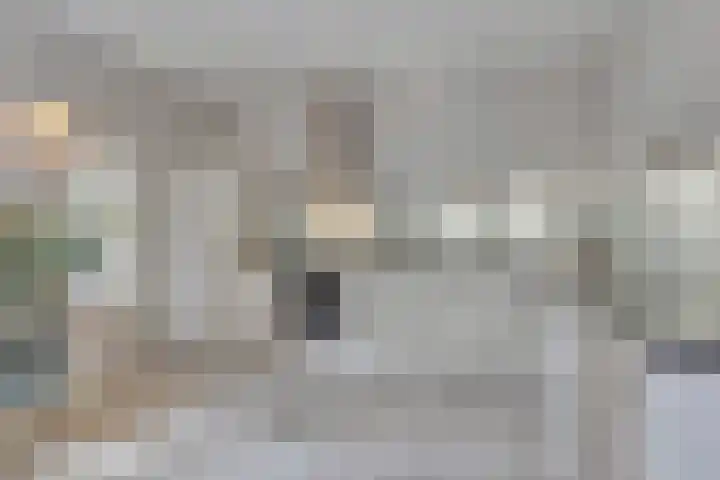Hoefblad 28 Mierlo thumbnail 15
