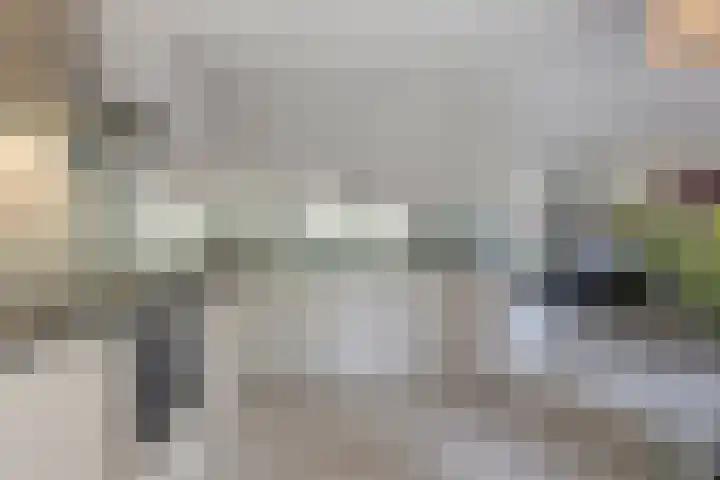 Hoefblad 28 Mierlo thumbnail 16
