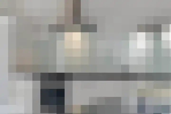 Hoefblad 28 Mierlo thumbnail 17