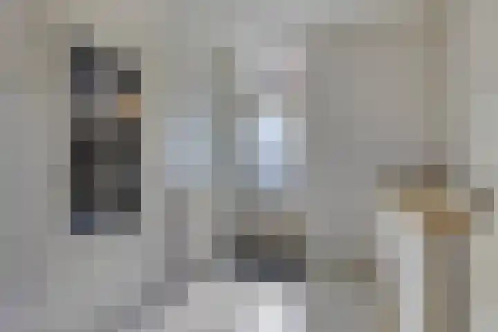 Hoefblad 28 Mierlo thumbnail 18