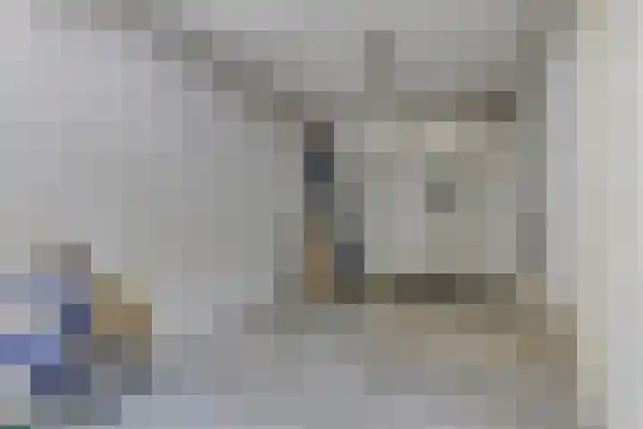 Hoefblad 28 Mierlo thumbnail 19