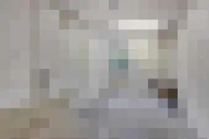 Hoefblad 28 Mierlo thumbnail 20