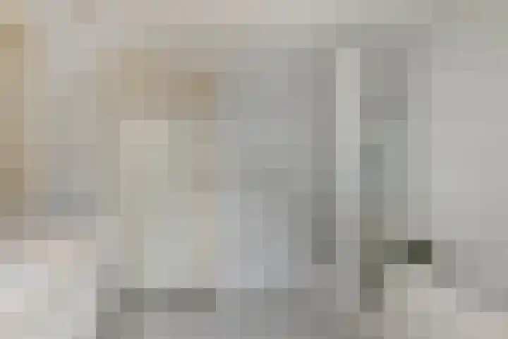 Hoefblad 28 Mierlo thumbnail 25