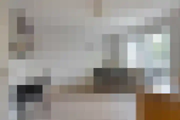 Hoefblad 28 Mierlo thumbnail 28