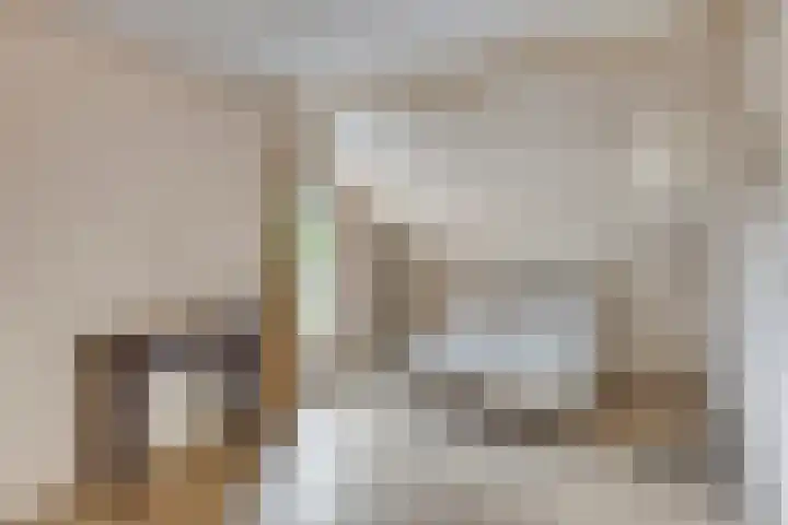Hoefblad 28 Mierlo thumbnail 29