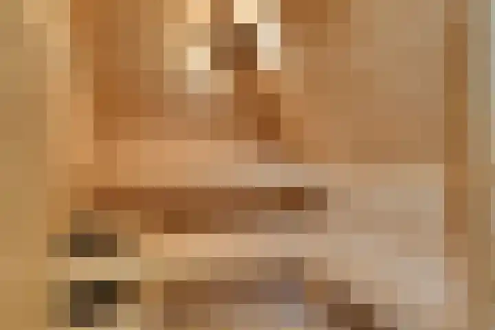 Hoefblad 28 Mierlo thumbnail 30