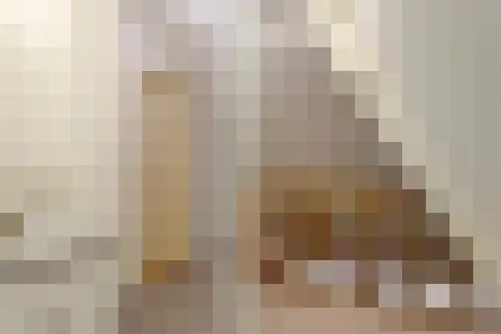 Hoefblad 28 Mierlo thumbnail 32