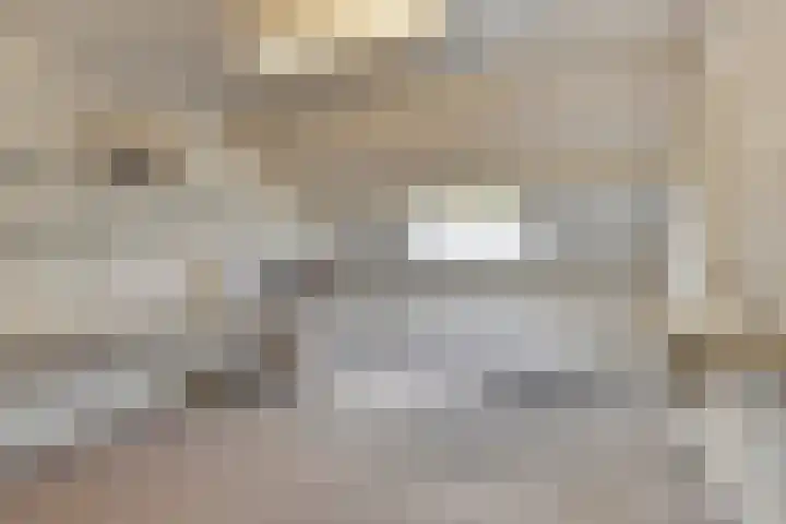 Hoefblad 28 Mierlo thumbnail 33
