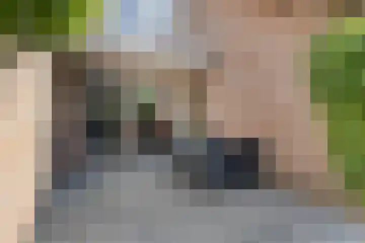Hoefblad 28 Mierlo thumbnail 36