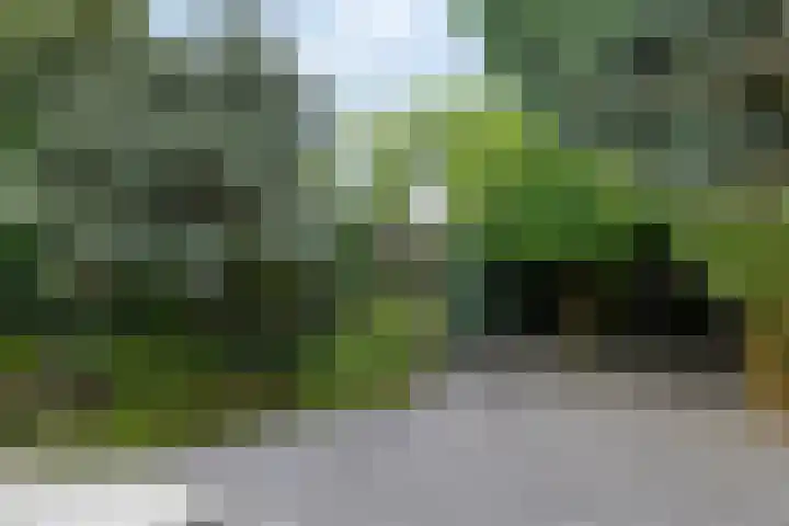 Hoefblad 28 Mierlo thumbnail 38