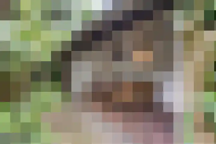 Hoefblad 28 Mierlo thumbnail 39
