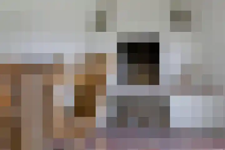 Hoefblad 28 Mierlo thumbnail 40