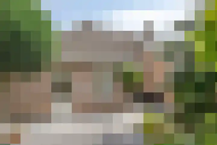 Hoefblad 28 Mierlo thumbnail 41