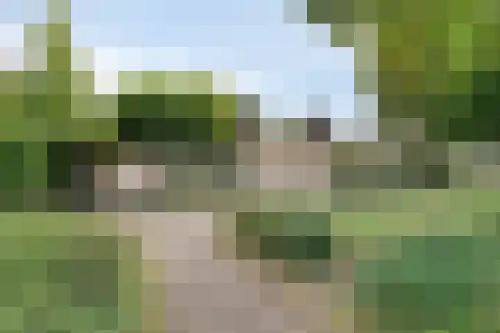Hoefblad 28 Mierlo thumbnail 43