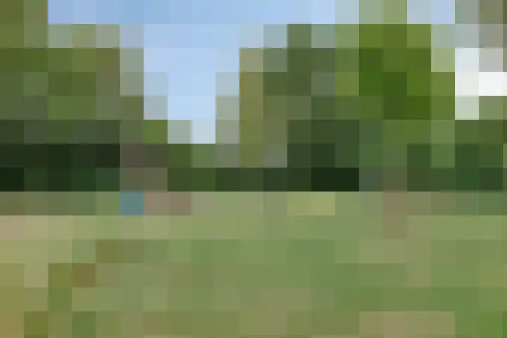 Hoefblad 28 Mierlo thumbnail 44