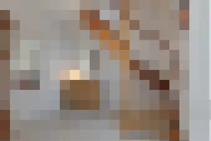 Hoefblad 28 Mierlo thumbnail 5