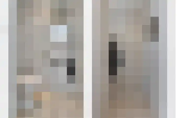 Hoefblad 28 Mierlo thumbnail 6