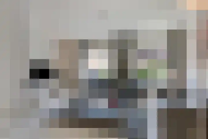Hoefblad 28 Mierlo thumbnail 7