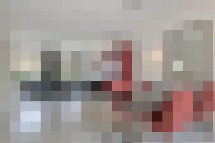 Hoefblad 28 Mierlo thumbnail 8