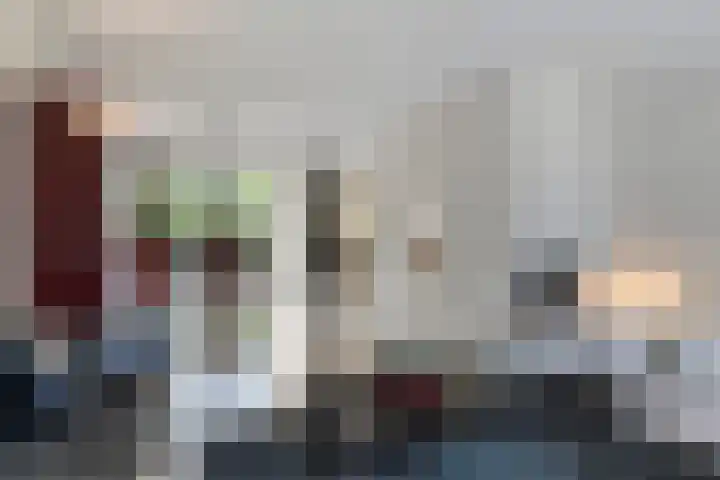 Hoefblad 28 Mierlo thumbnail 9