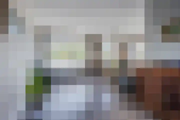 Hoefblad 32 Nieuwleusen thumbnail 10