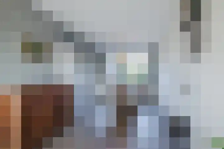 Hoefblad 32 Nieuwleusen thumbnail 11