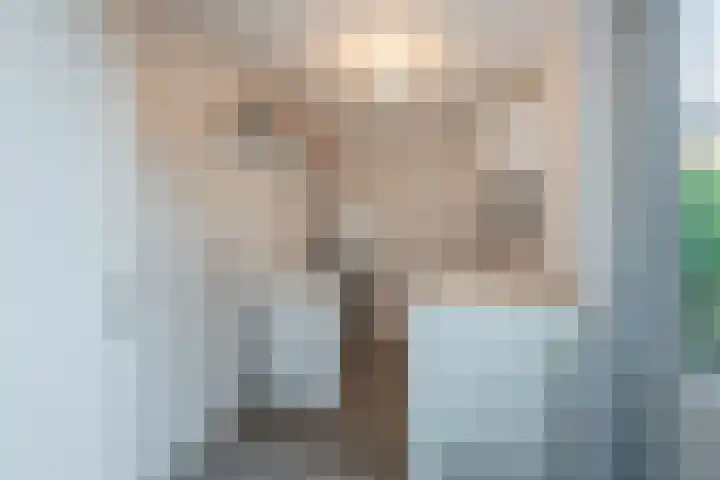 Hoefblad 32 Nieuwleusen thumbnail 14