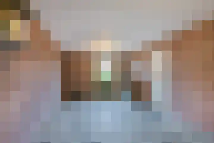 Hoefblad 32 Nieuwleusen thumbnail 17