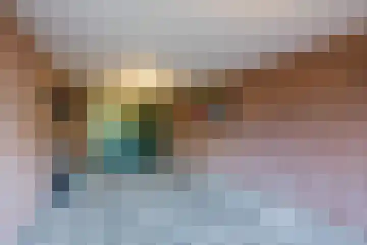 Hoefblad 32 Nieuwleusen thumbnail 18
