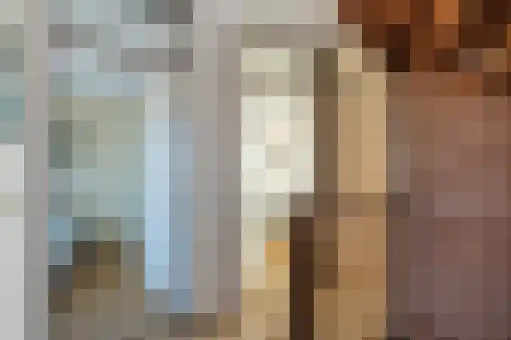 Hoefblad 32 Nieuwleusen thumbnail 21