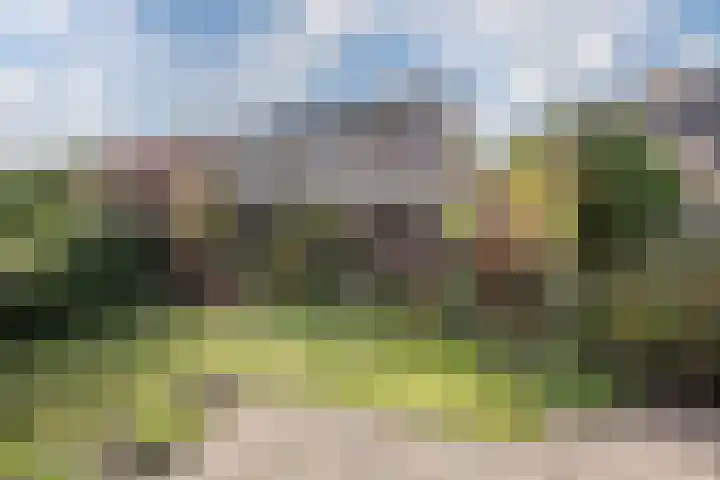 Hoefblad 32 Nieuwleusen thumbnail 36