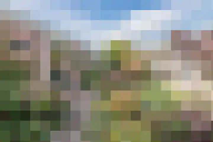 Hoefblad 32 Nieuwleusen thumbnail 37